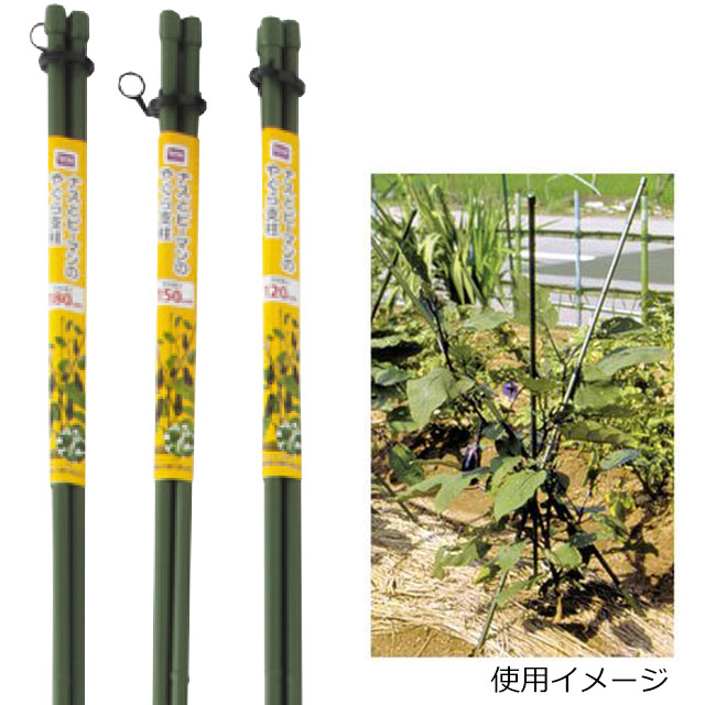 初心者歓迎 ビギナーでも失敗しない家庭菜園の始め方 特集 dcm 初心者歓迎 ビギナーでも失敗しない家庭菜園の始め方 特集 dcm