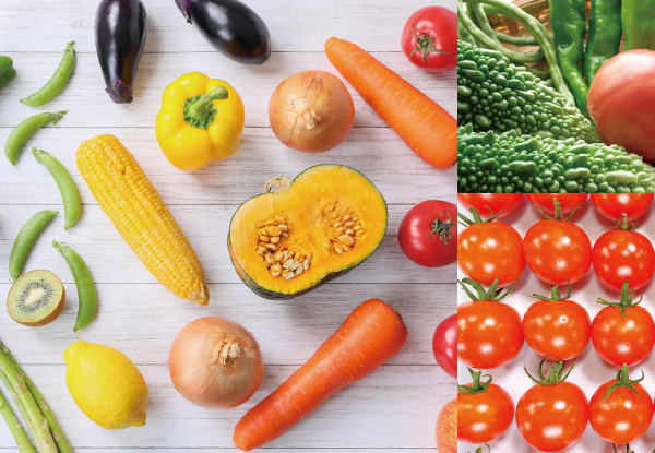 アブラムシ退治 有効な対策はあるのか コラムカテゴリー お役立ち コラム くらしメイド ｄｃｍ