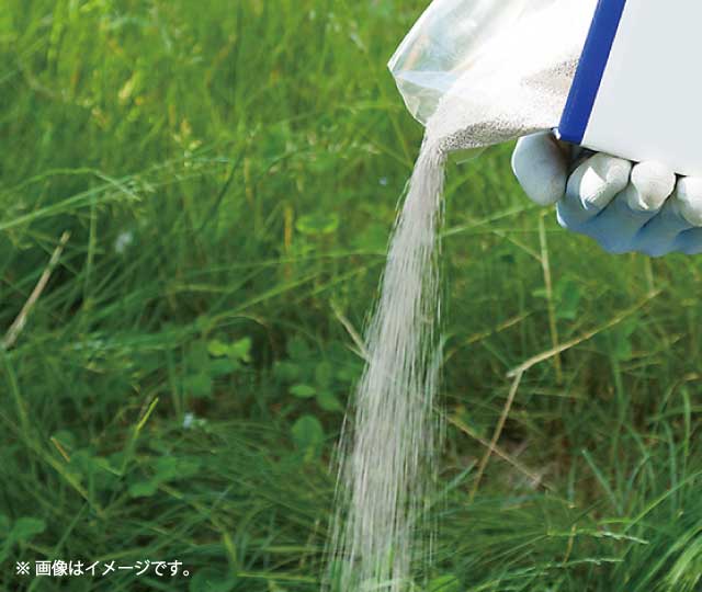 お庭の雑草対策年間カレンダー 除草剤 防草シートなど 時期に応じた対策を徹底解説 特集 ｄｃｍ