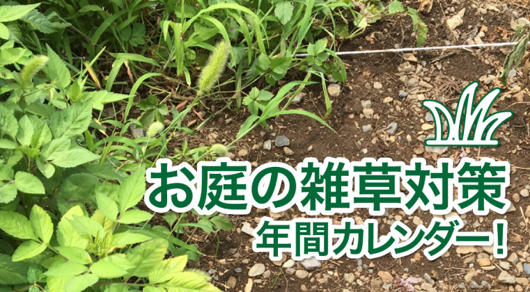 お庭の雑草対策　除草剤・防草シートなど、時期に応じた対策を徹底解説