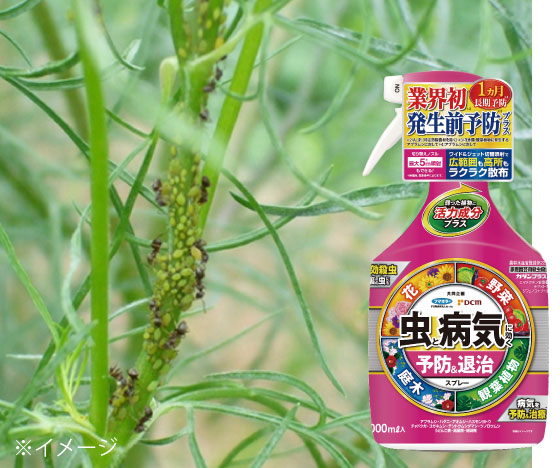 虫・病気対策