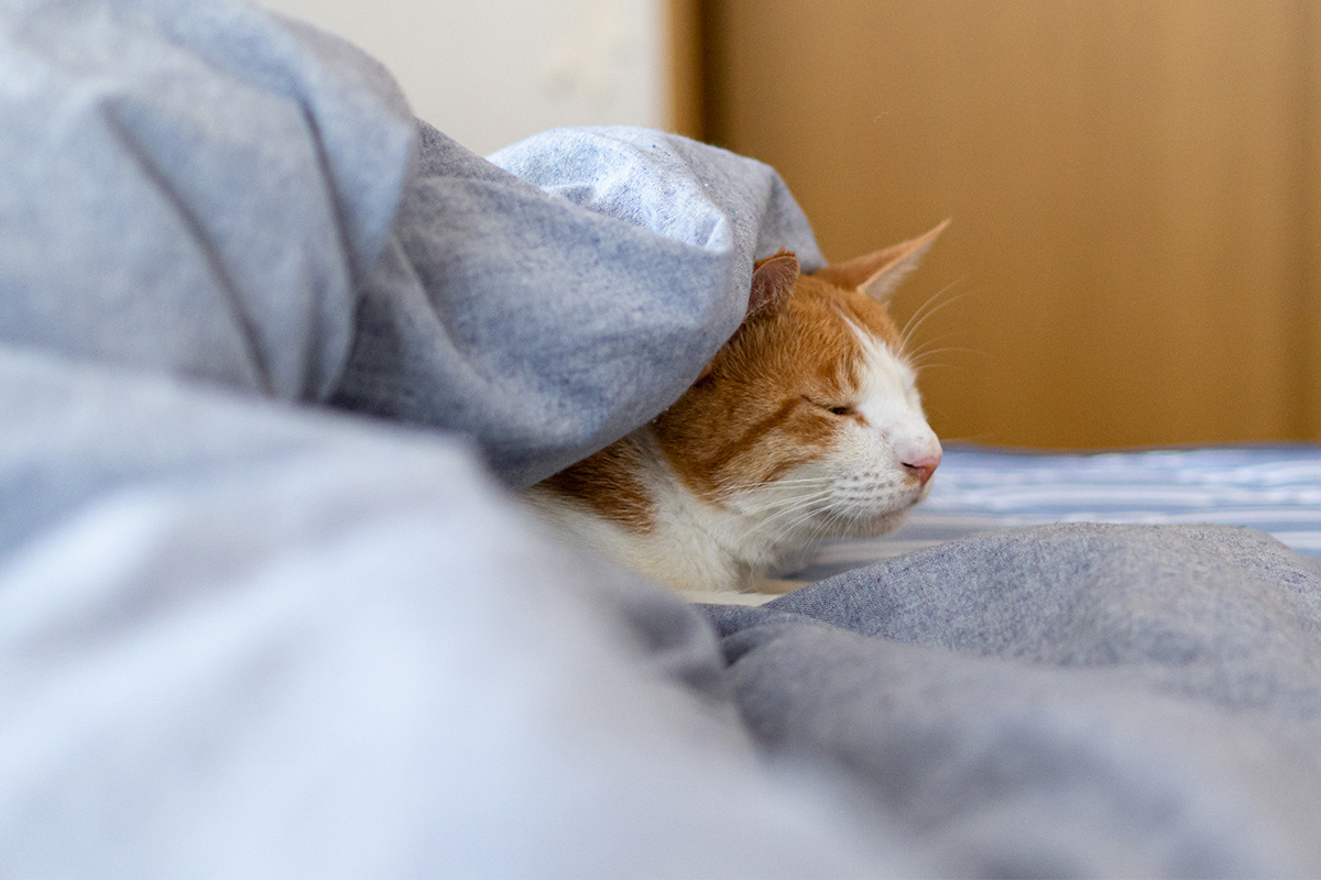 寝室の温度・湿度