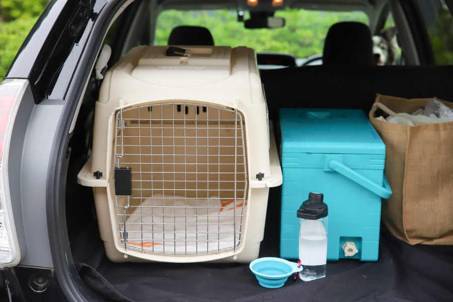 犬とのお出かけの持ち物