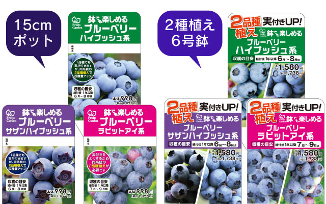 苗の選び方
