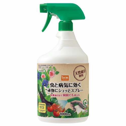 アブラムシ退治 有効な対策はあるのか コラムカテゴリー お役立ち コラム くらしメイド ｄｃｍ