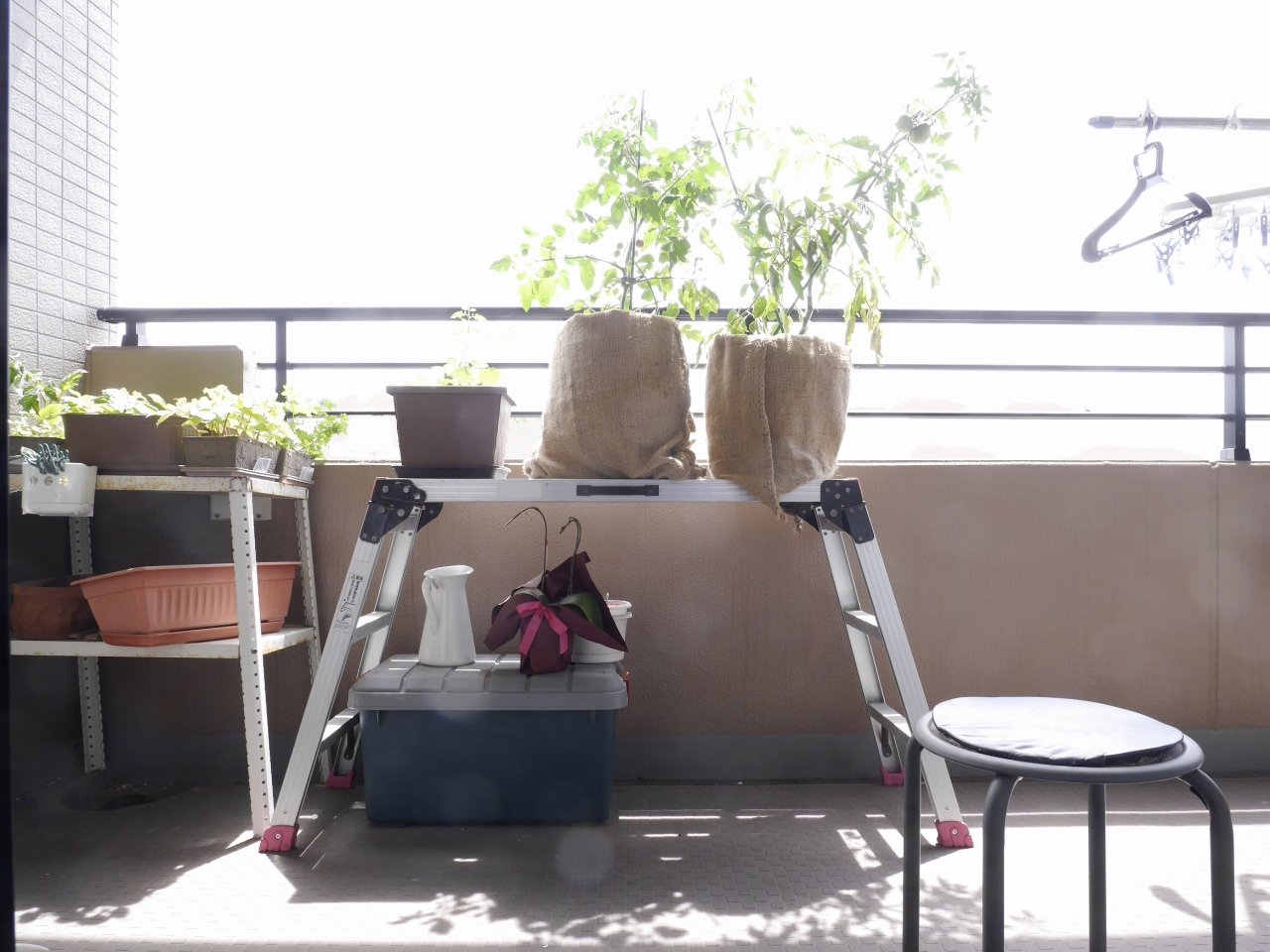 映えベランダ4