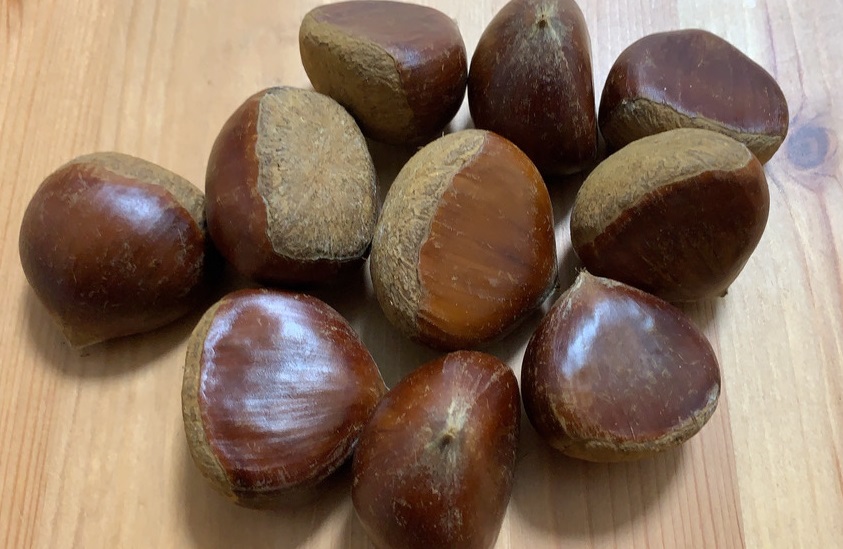 かたーい皮の「鬼皮」