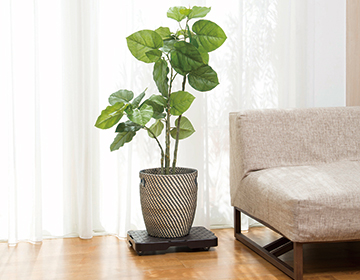 DCM　スムーズキャリー　ブラウン