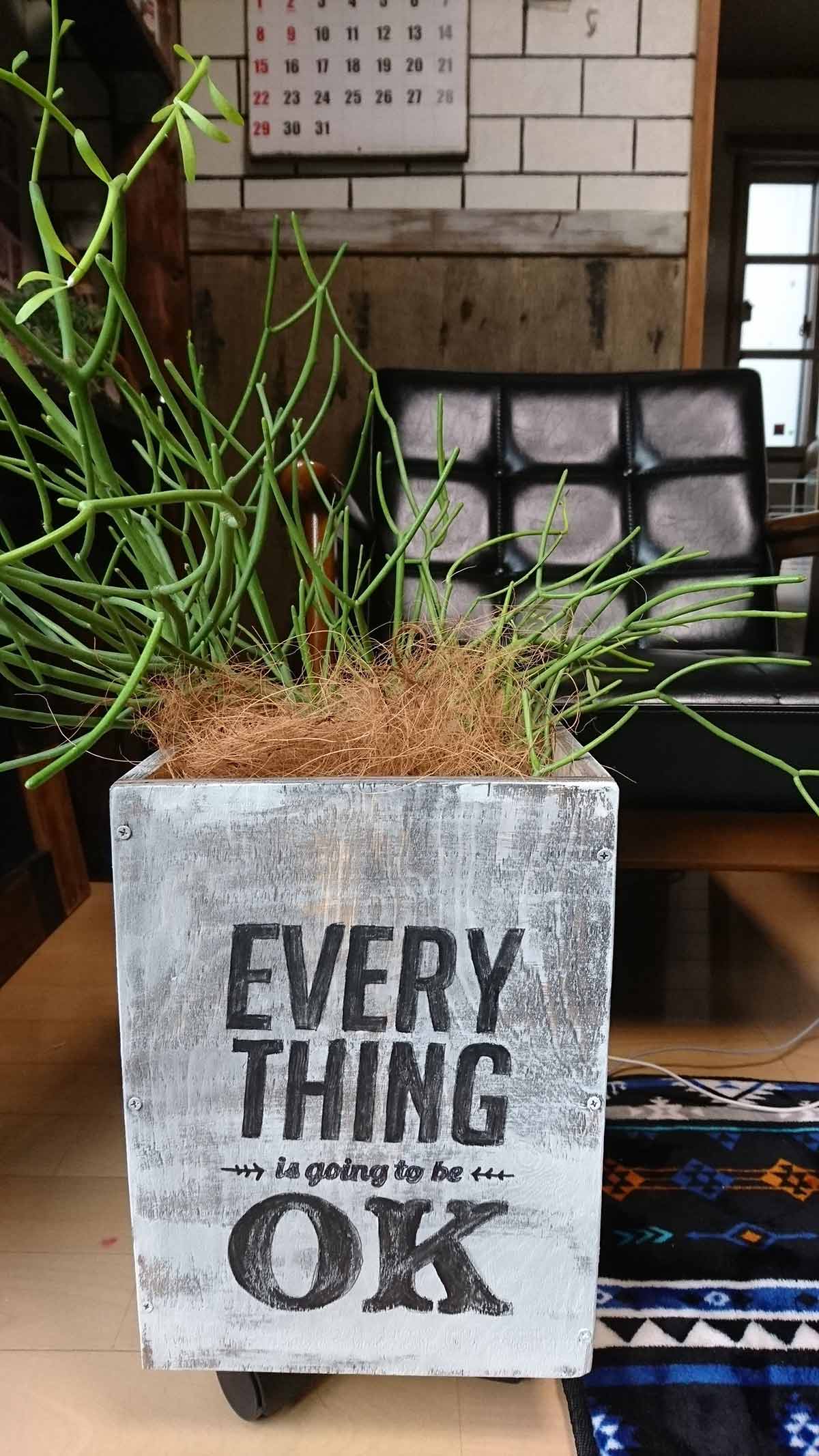 キャスター付きボックス,観葉植物