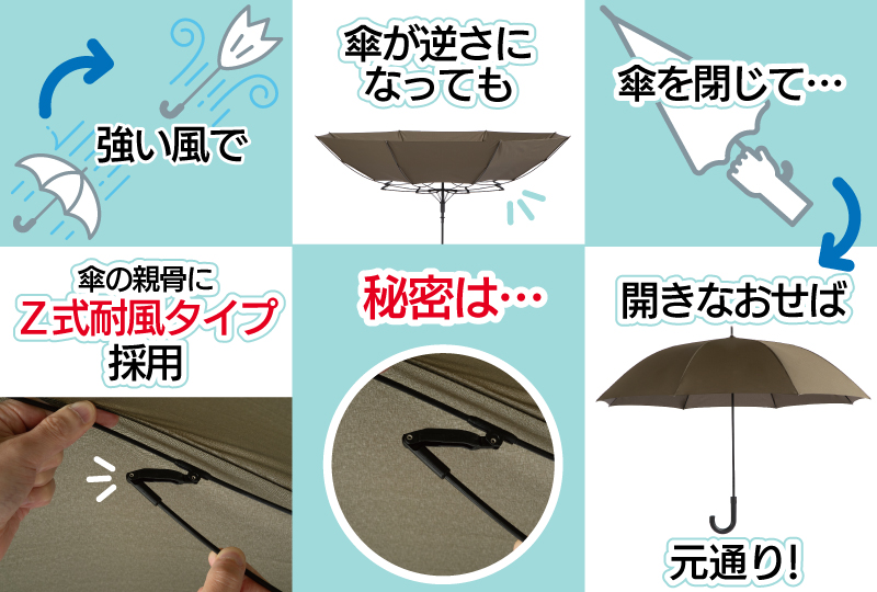 Z構造で強風対策！