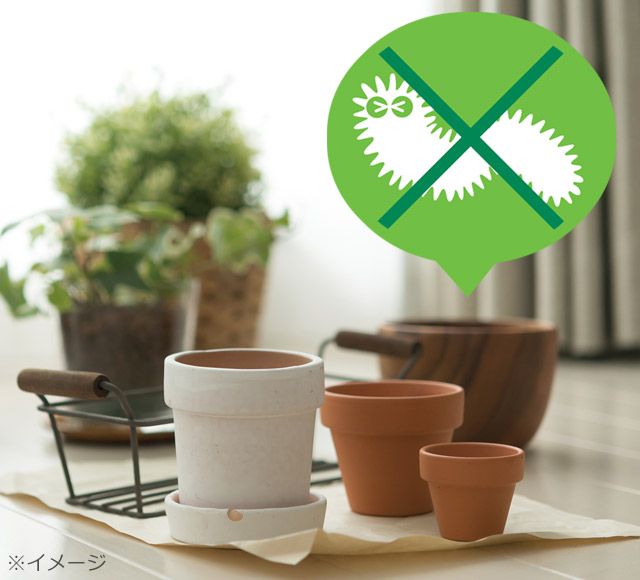 たい肥不使用で虫が出にくい土