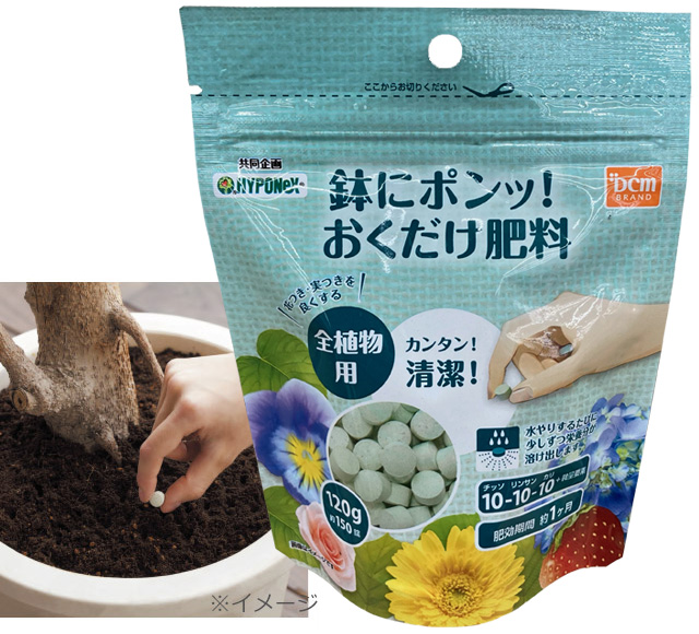 ｄｃｍ キレイなサボテン 多肉植物の土 ｄｃｍ キレイな観葉植物の土 商品カテゴリー ガーデニング 商品紹介 ｄｃｍ