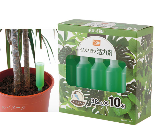 Dcm キレイなサボテン 多肉植物の土 Dcm キレイな観葉植物の土 商品カテゴリー ガーデニング 商品紹介 ｄｃｍ