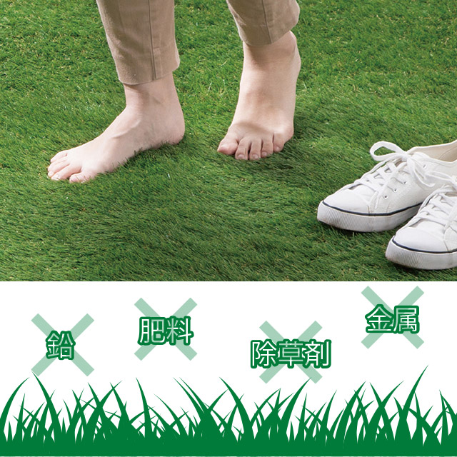 フカフカの人工芝