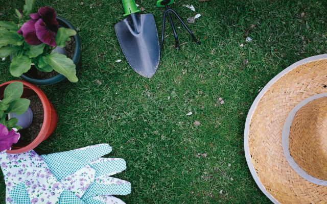 園芸、家庭菜園