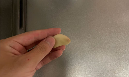 にんにくを切る