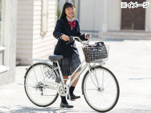 化学薬品 欠席 極端な カーマ 自転車 修理 - bakerycafebears.com