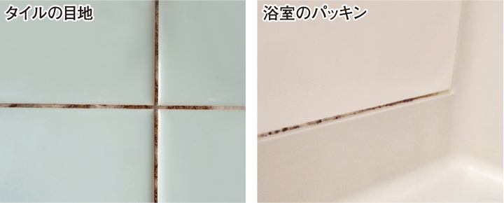 タイルの目地／浴室のパッキン