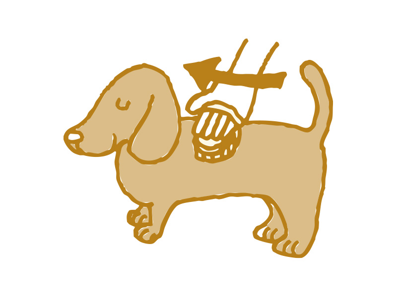 犬のお手入れ 1 快適生活ガイド ｄｃｍ