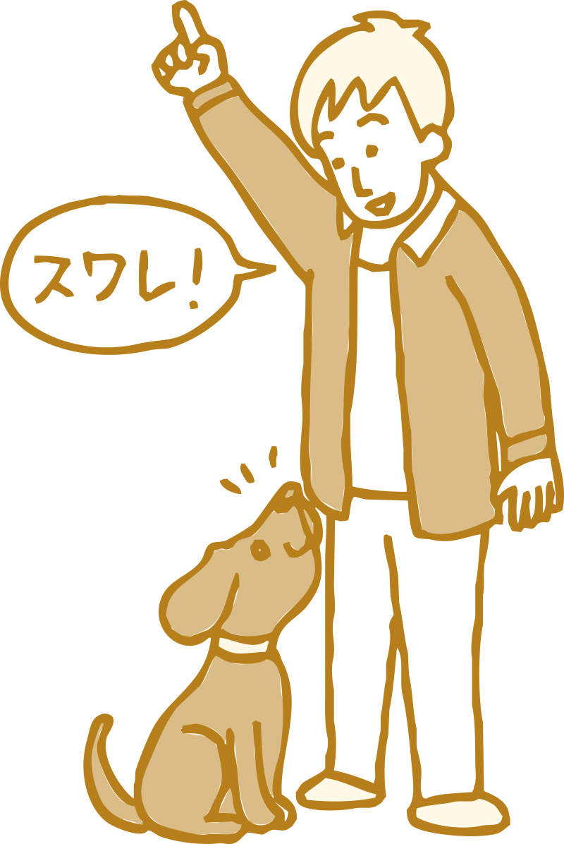 犬のしつけ|快適生活ガイド|DCM 犬のしつけ|快適生活ガイド|DCM