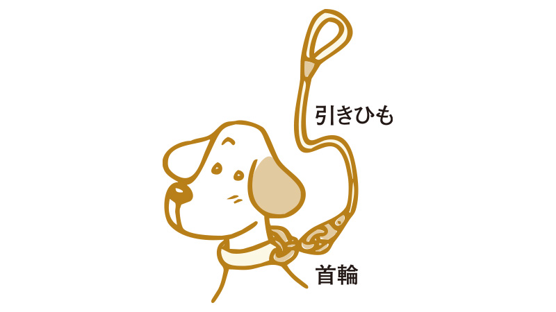 犬具の選び方 快適生活ガイド ｄｃｍ