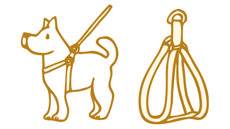 犬具の選び方 快適生活ガイド dcm 犬具の選び方 快適生活ガイド dcm