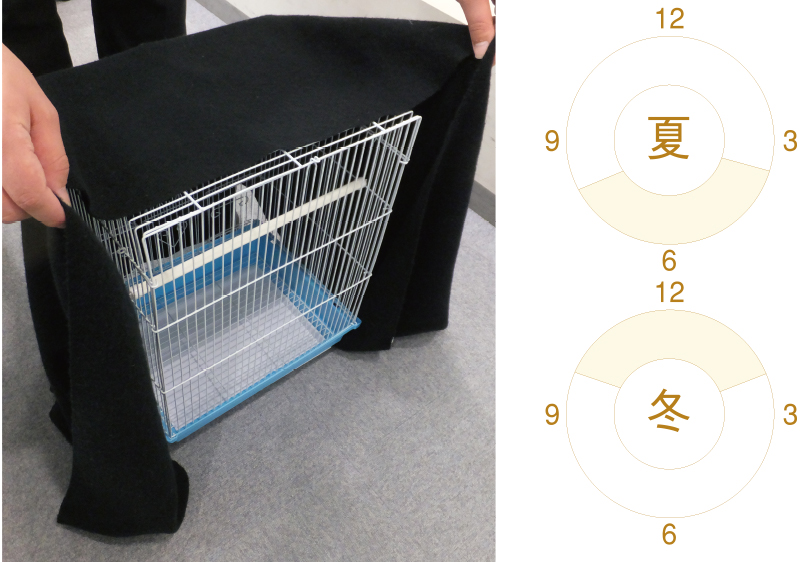 小鳥の飼い方 季節の注意｜快適生活ガイド｜DCM