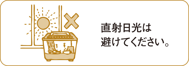直射日光は避けてください。