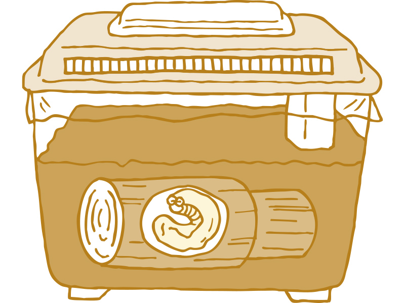 クワガタムシの飼育方法・豆知識