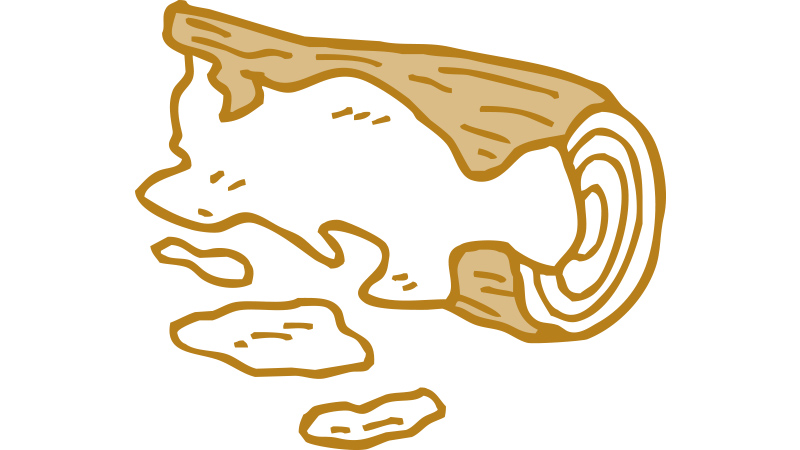 クワガタムシの飼育方法・豆知識