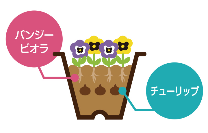 ダブルデッカー植え