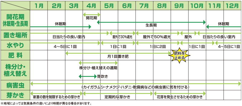 シンビジュームの管理カレンダー