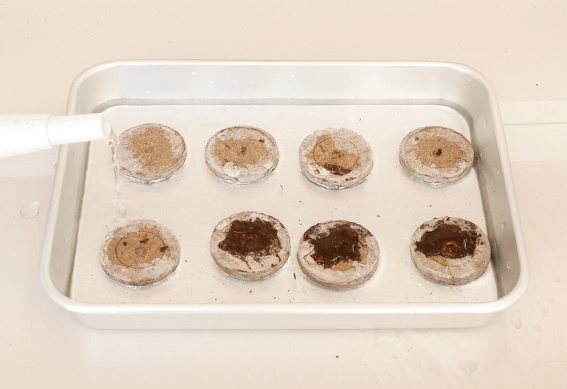 ジフィー製品にまく