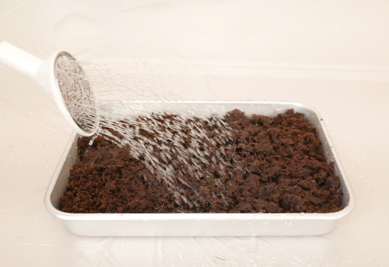 ピートバンにまく（1）