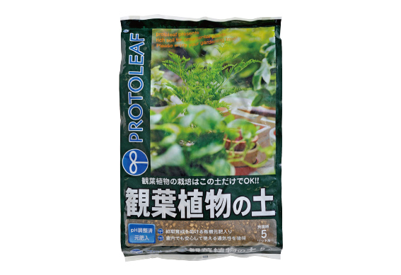 観葉植物の土