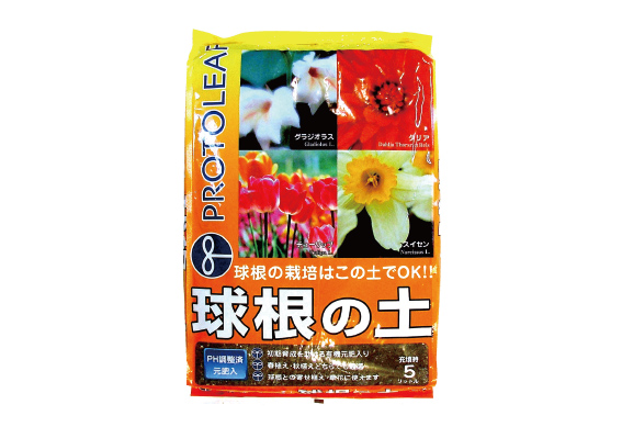 球根の土