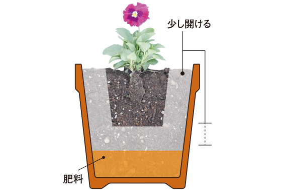 肥料の役割 快適生活ガイド ｄｃｍ