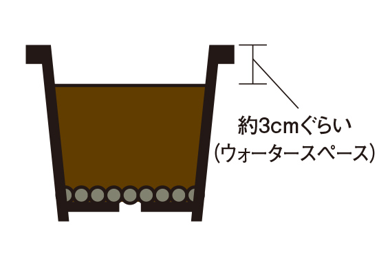 2.培養土を入れる。この時、鉢上から約3cmあけて「ウォータースペース」をつくっておく。