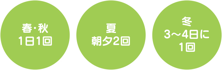 季節ごとの水やりの目安