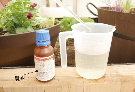 薬剤はスポイトやキャップを使い正確に量りましょう。