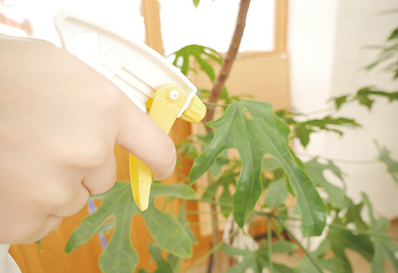 スプレータイプ