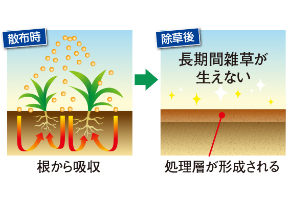 土壌処理型除草剤