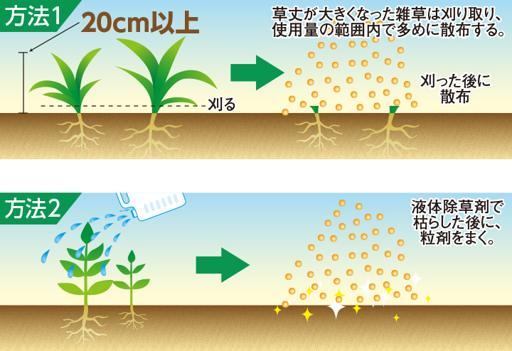 除草剤の上手な選び方 快適生活ガイド ｄｃｍ