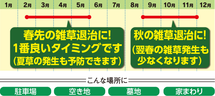 使用時期の目安