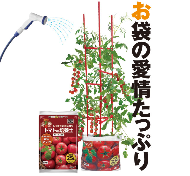 トマトの培養土