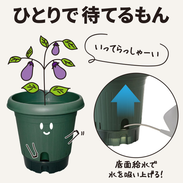 底面給水菜園ポット