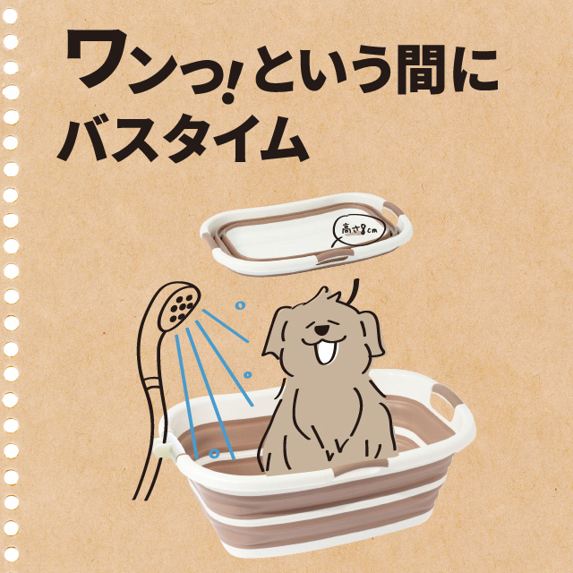 折りたたみバス