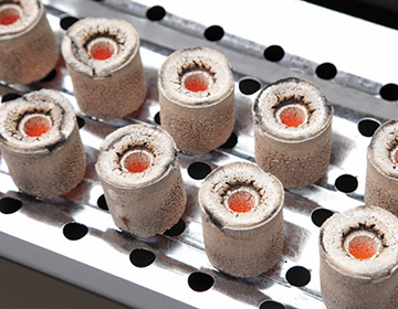 ＤＣＭ 着火剤のいらない炭