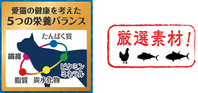 愛猫の健康を考えた5つの栄養バランス