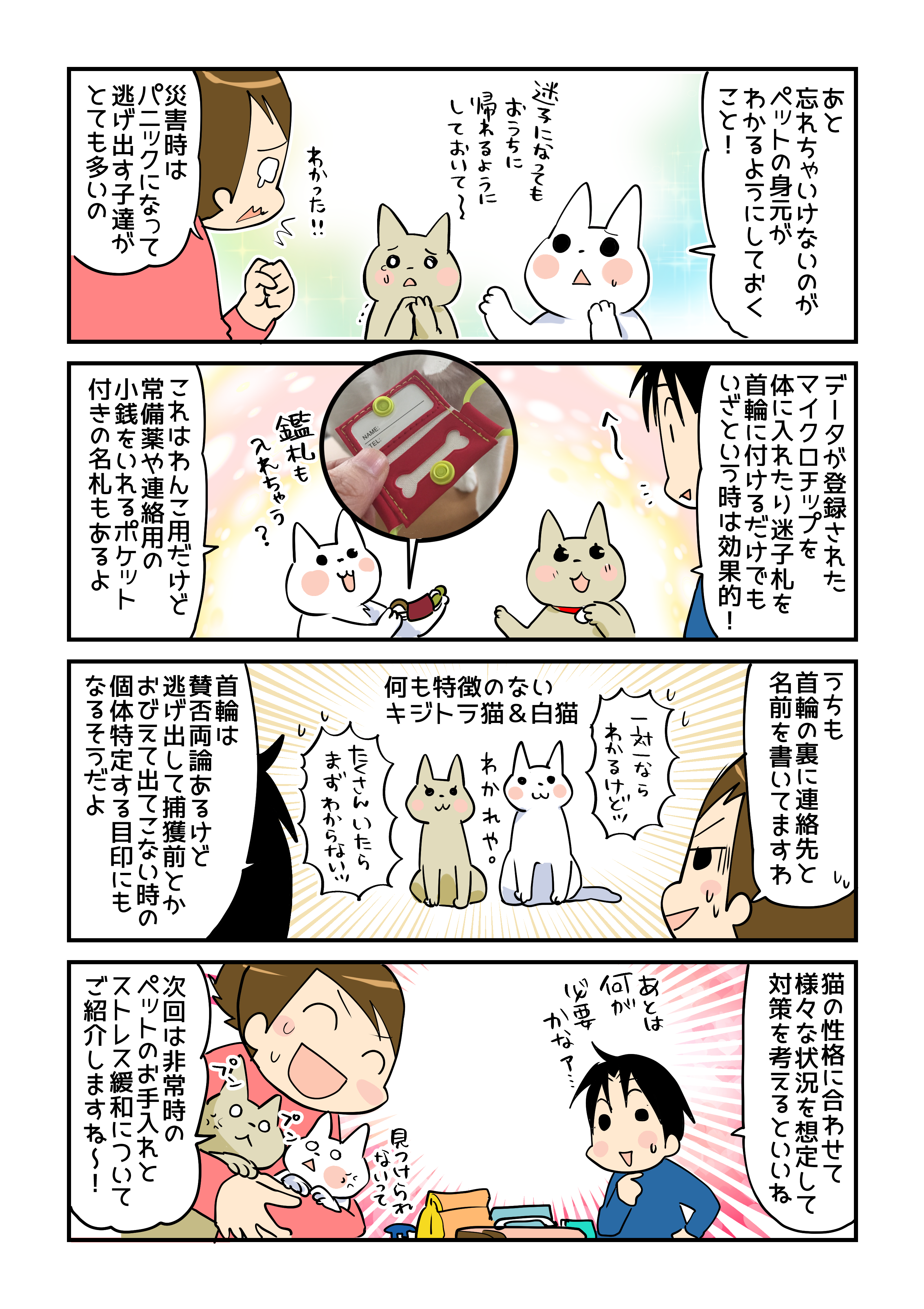 猫のグリ&ボン、「もしもの備え」を考える~キャリーケージ編